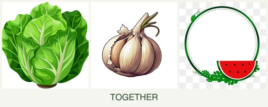 Can you plant lettuce, garlic and watermelons together?