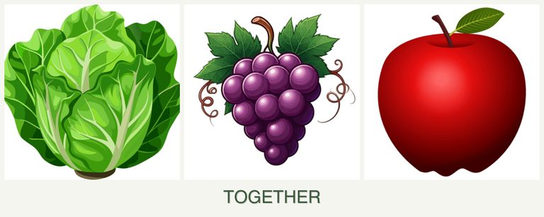 Can you plant lettuce, grapes and apples together?