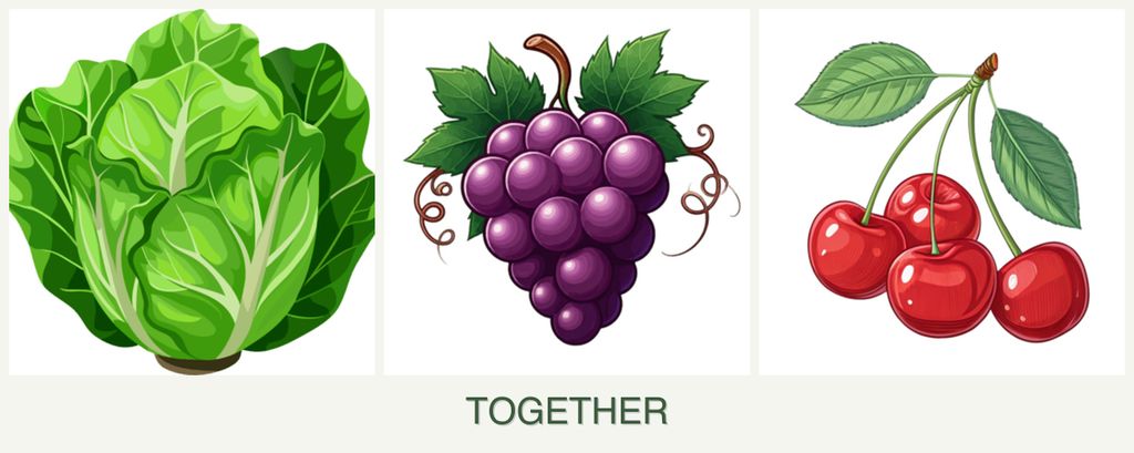 Can you plant lettuce, grapes and cherries together?