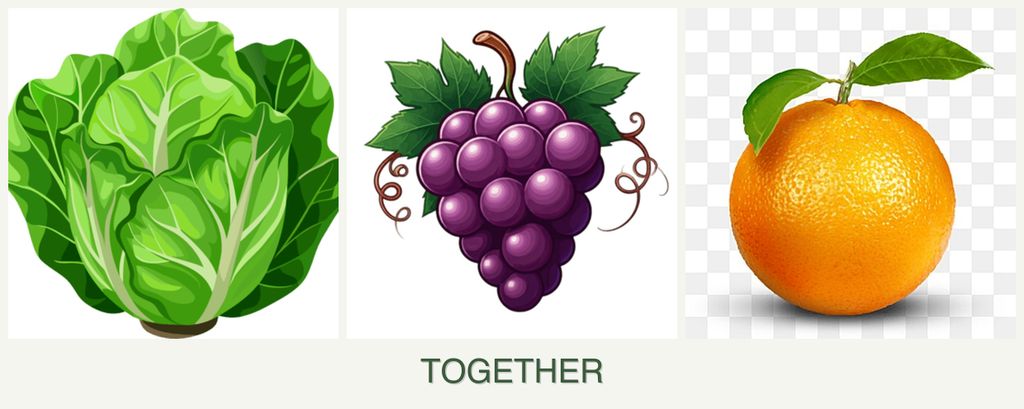 Can you plant lettuce, grapes and oranges together?