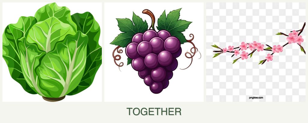 Can you plant lettuce, grapes and peaches together?