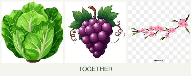 Can you plant lettuce, grapes and peaches together?
