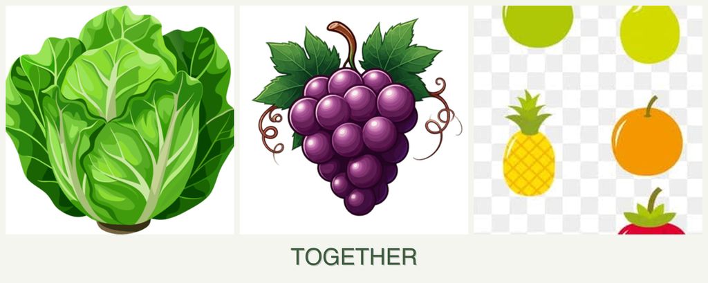Can you plant lettuce, grapes and pears together?