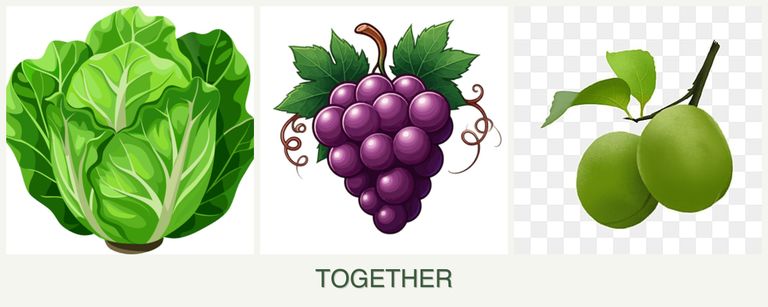 Can you plant lettuce, grapes and plums together?