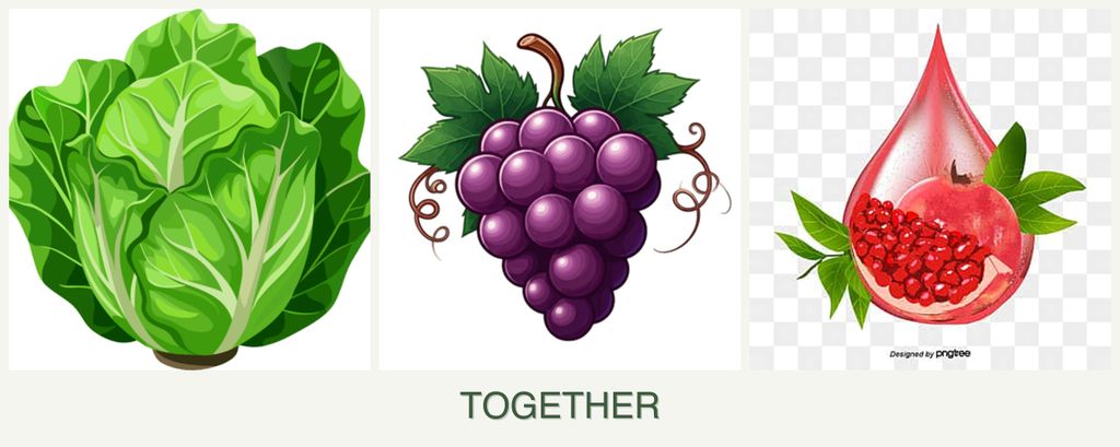 Can you plant lettuce, grapes and pomegranates together?