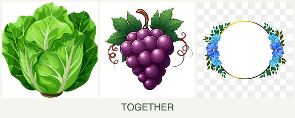 Can you plant lettuce, grapes and zinnias together?