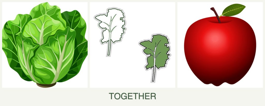 Can you plant lettuce, kale and apples together?
