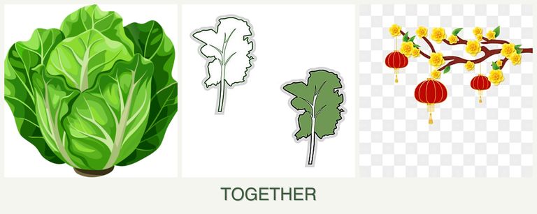 Can you plant lettuce, kale and apricots together?