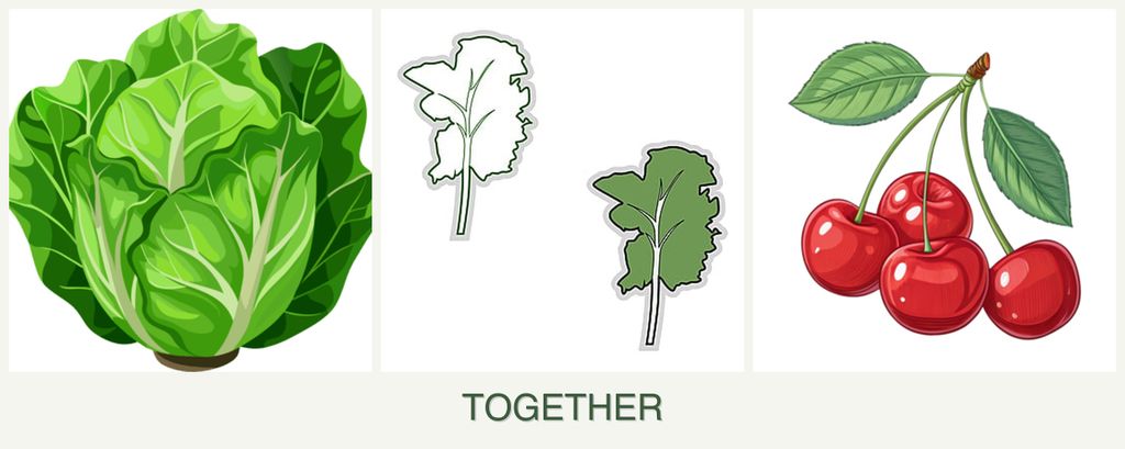 Can you plant lettuce, kale and cherries together?