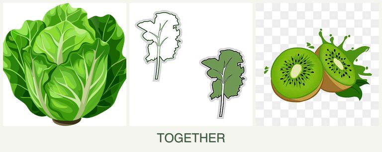 Can you plant lettuce, kale and kiwi together?
