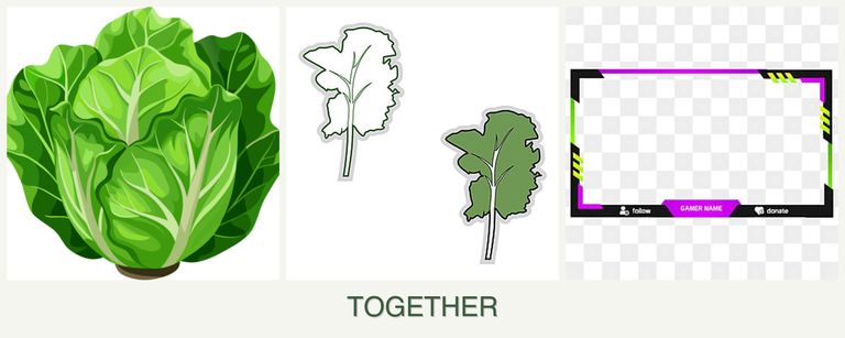Can you plant lettuce, kale and limes together?