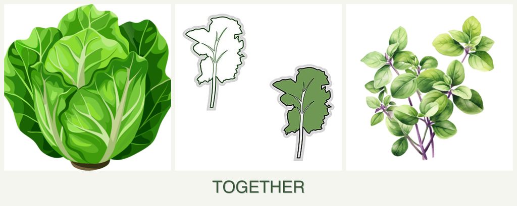 Can you plant lettuce, kale and oregano together?