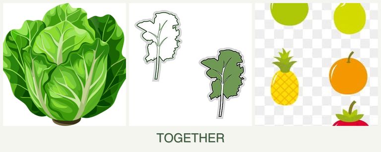 Can you plant lettuce, kale and pears together?
