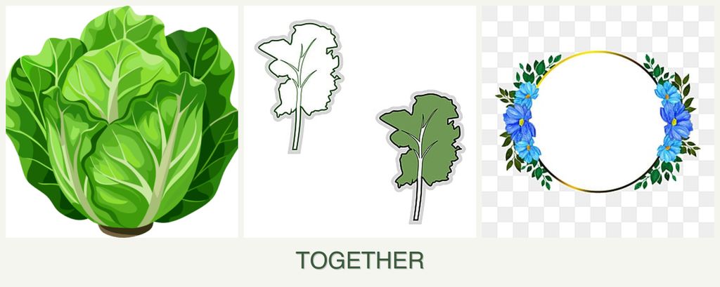 Can you plant lettuce, kale and zinnias together?