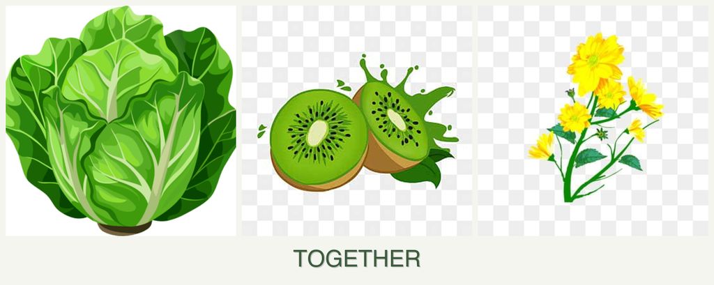 Can you plant lettuce, kiwi and calendula together?