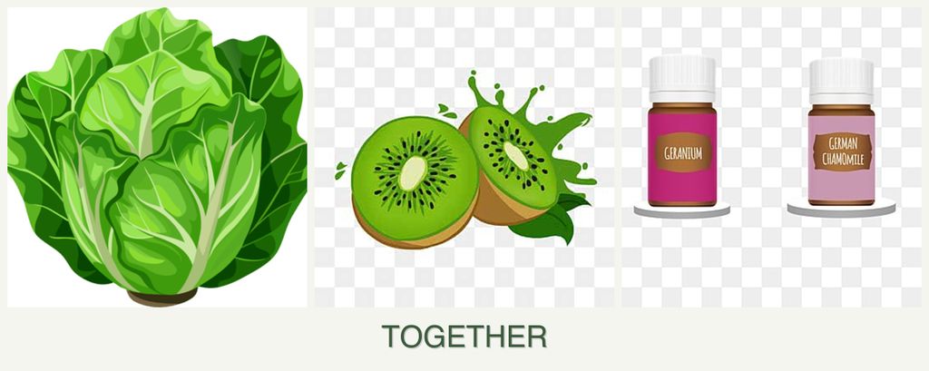 Can you plant lettuce, kiwi and geraniums together?