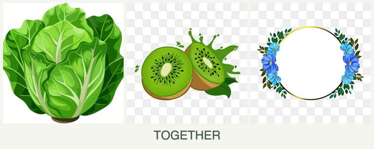 Can you plant lettuce, kiwi and zinnias together?