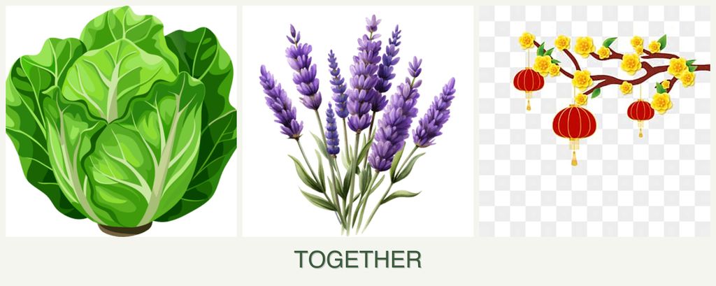 Can you plant lettuce, lavender and apricots together?