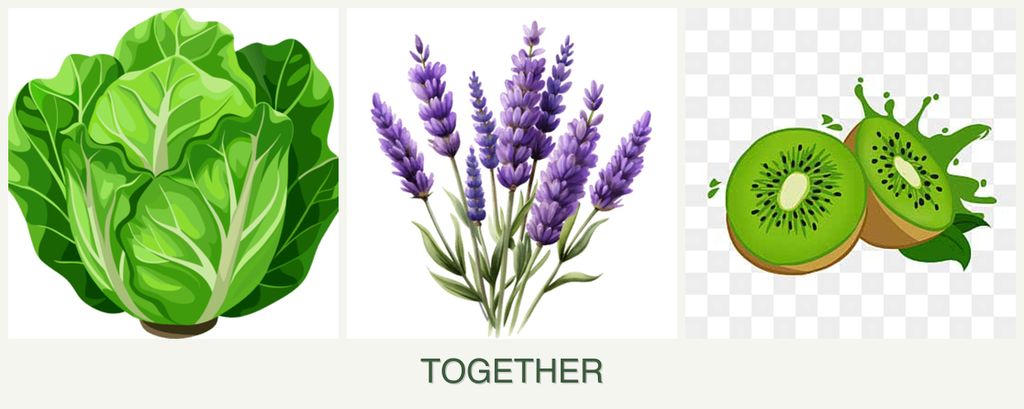 Can you plant lettuce, lavender and kiwi together?