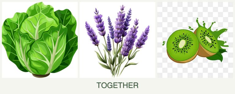 Can you plant lettuce, lavender and kiwi together?
