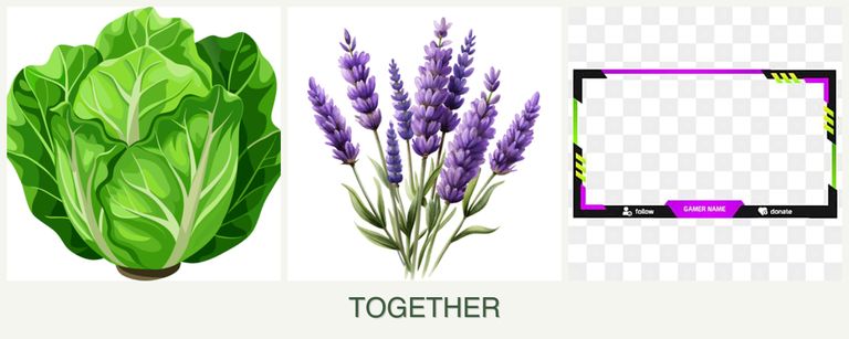 Can you plant lettuce, lavender and limes together?