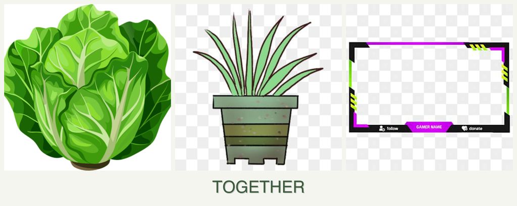 Can you plant lettuce, lemongrass and limes together?