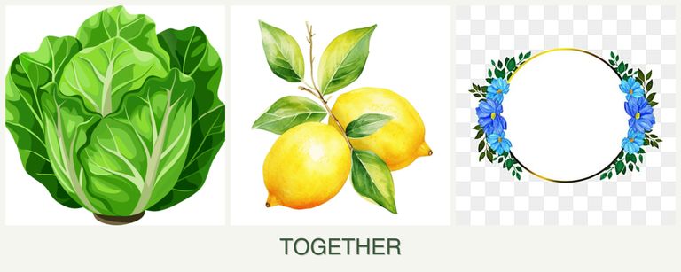 Can you plant lettuce, lemons and zinnias together?