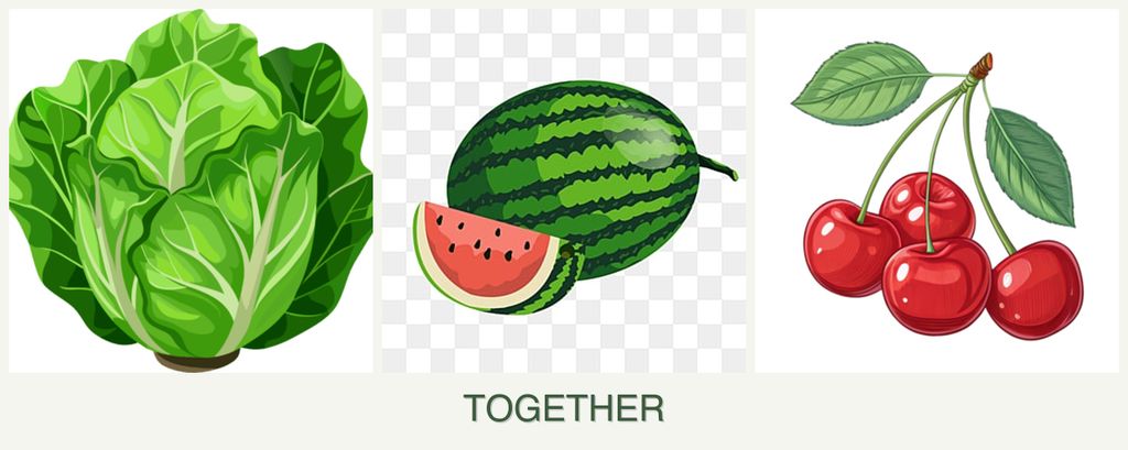 Can you plant lettuce, melons and cherries together?