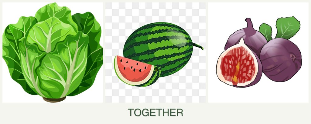 Can you plant lettuce, melons and figs together?