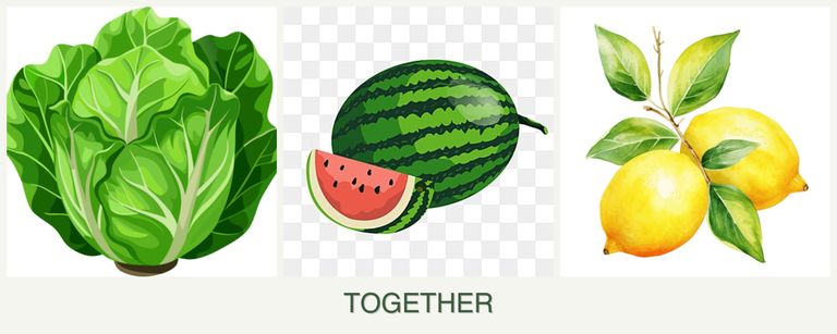 Can you plant lettuce, melons and lemons together?
