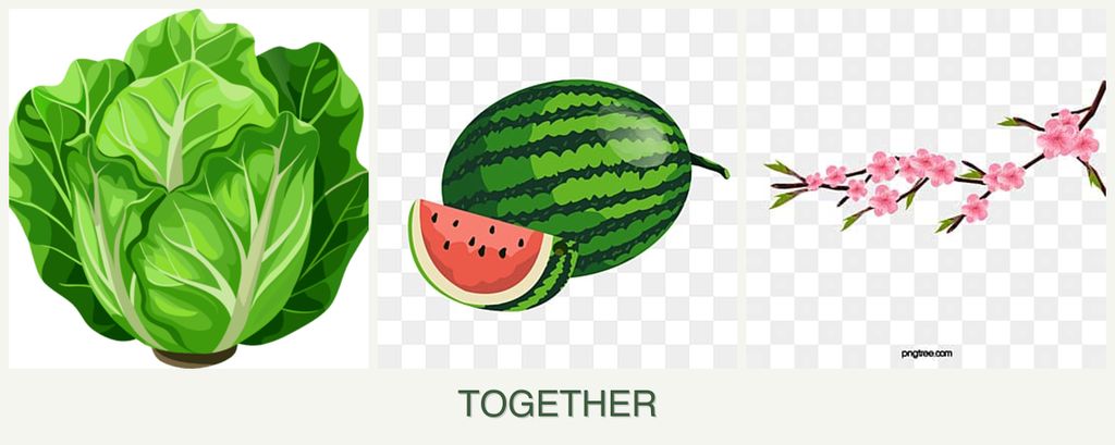 Can you plant lettuce, melons and peaches together?