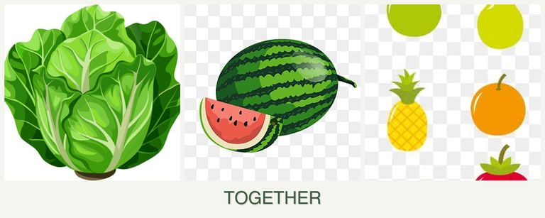 Can you plant lettuce, melons and pears together?