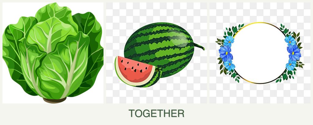 Can you plant lettuce, melons and zinnias together?