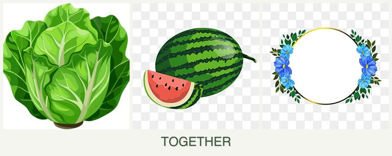 Can you plant lettuce, melons and zinnias together?