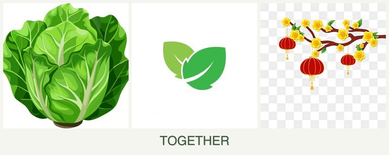 Can you plant lettuce, mint and apricots together?