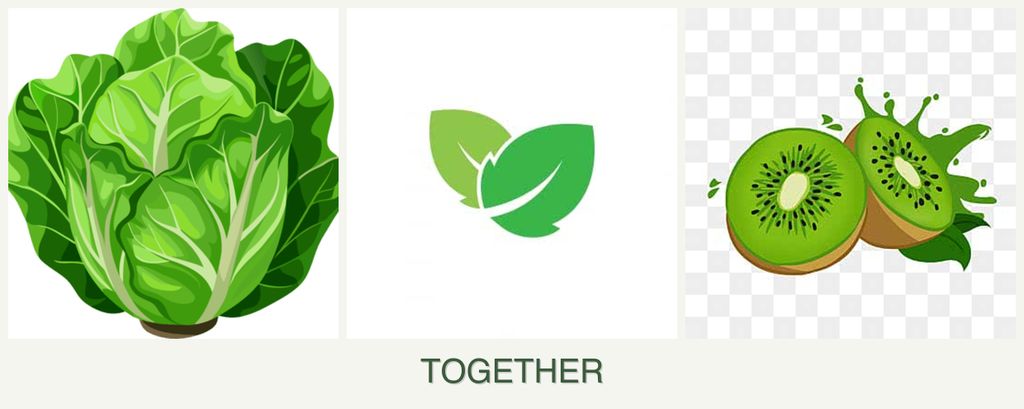 Can you plant lettuce, mint and kiwi together?