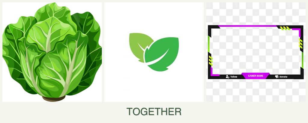 Can you plant lettuce, mint and limes together?