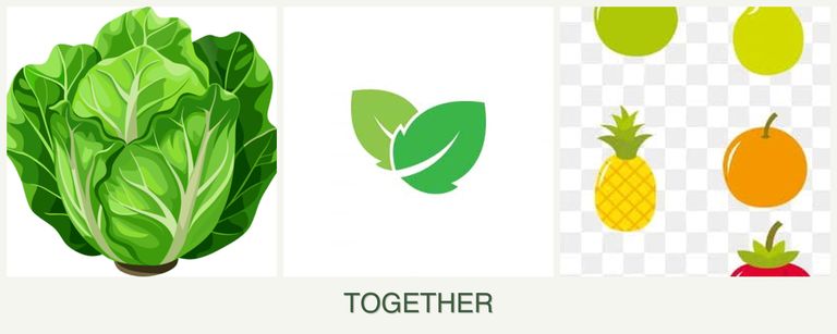 Can you plant lettuce, mint and pears together?