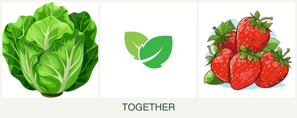 Can you plant lettuce, mint and strawberries together?