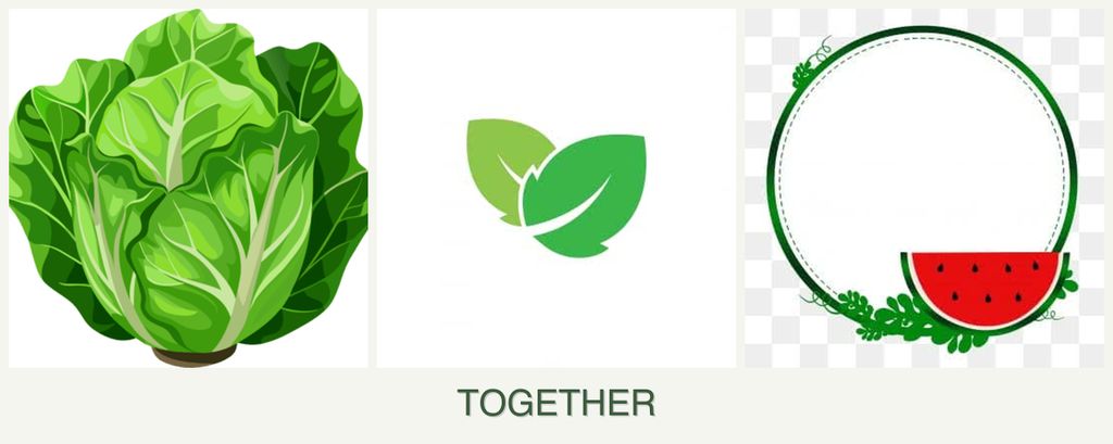 Can you plant lettuce, mint and watermelons together?