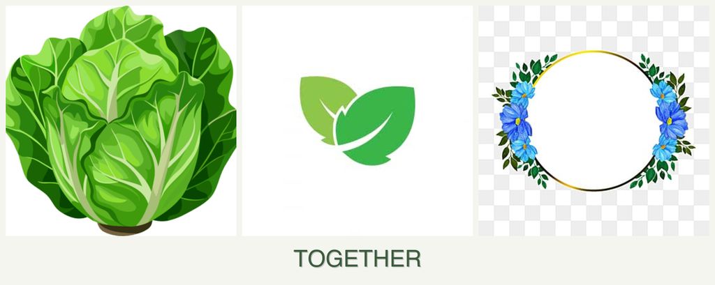 Can you plant lettuce, mint and zinnias together?