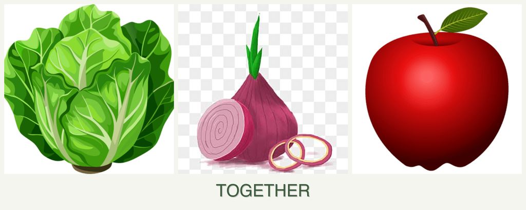 Can you plant lettuce, onions and apples together?