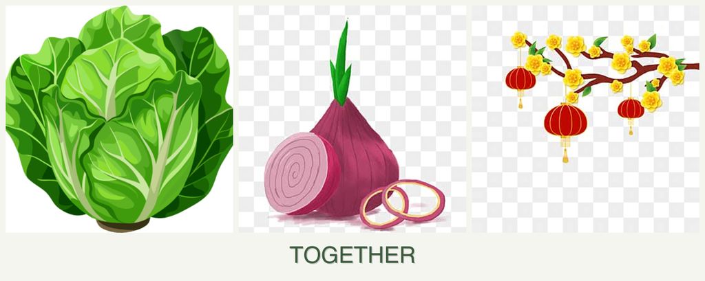 Can you plant lettuce, onions and apricots together?