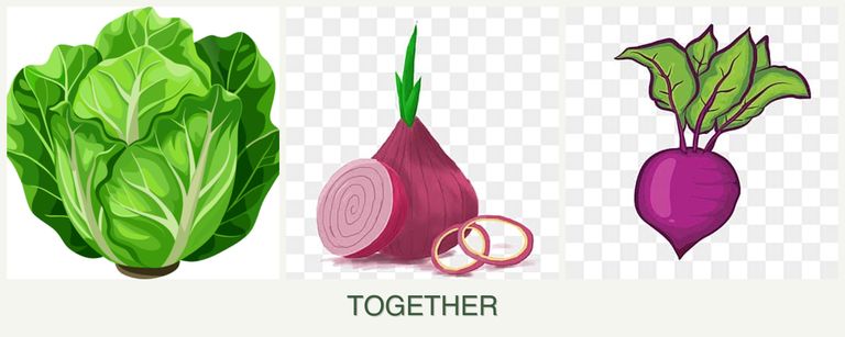 Can you plant lettuce, onions and beets together?