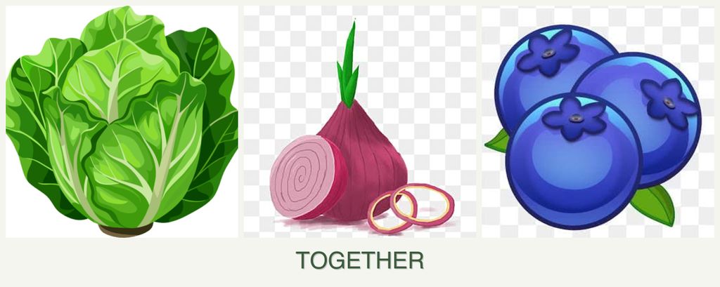 Can you plant lettuce, onions and blueberries together?