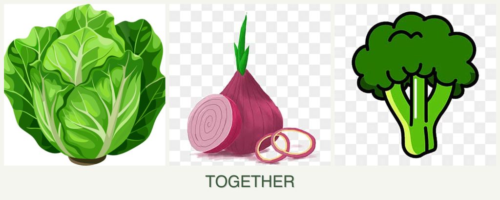 Can you plant lettuce, onions and broccoli together?