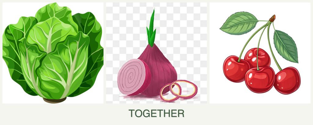 Can you plant lettuce, onions and cherries together?