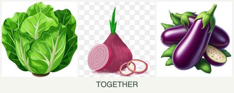 Can you plant lettuce, onions and eggplant together?