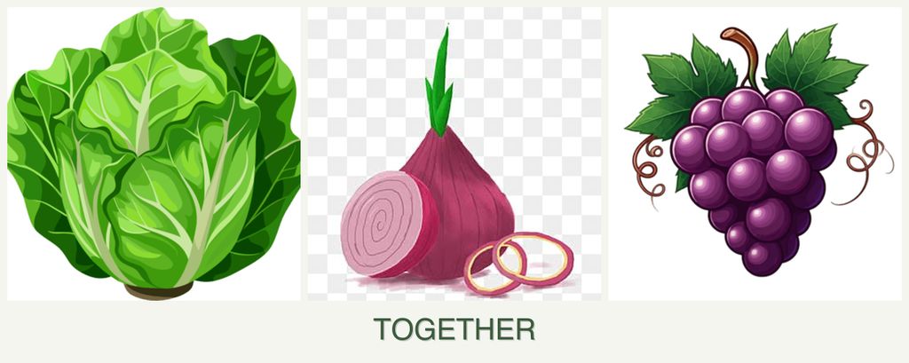 Can you plant lettuce, onions and grapes together?