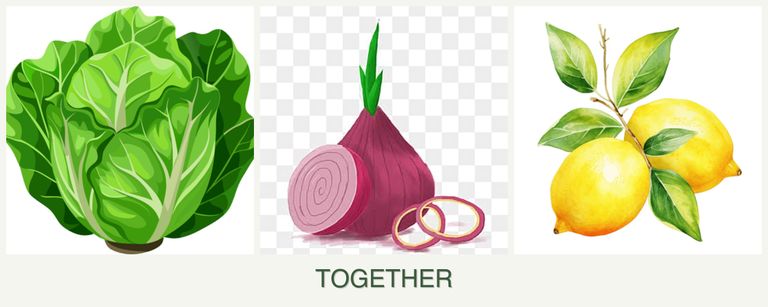 Can you plant lettuce, onions and lemons together?